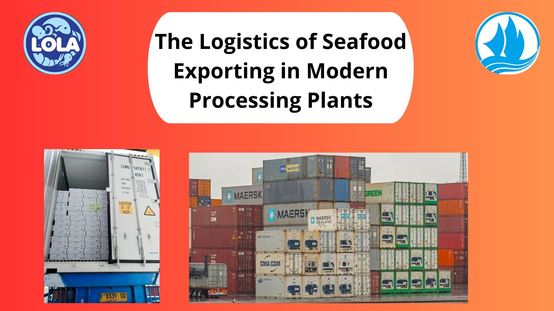  The Logistics of Seafood Exporting in Modern Processing Plants